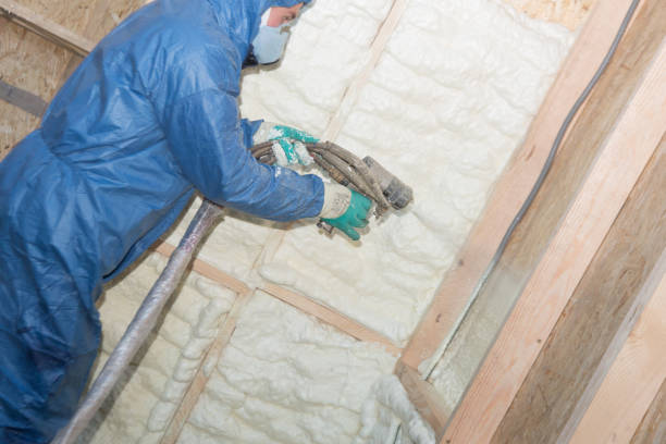 Best Wall Insulation Installation  in Bayshore Gardens, FL